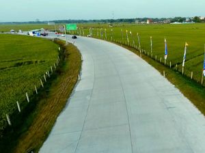 Pembangunan Infrastruktur Bikin Makin Banyak Lahan Sawah Hilang