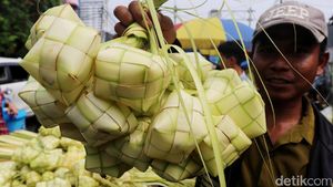 Saatnya Berburu Janur Ketupat Lebaran