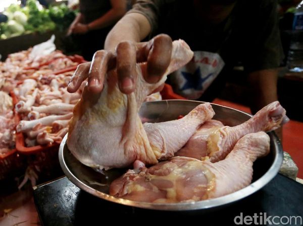 Jelang Lebaran, Kebutuhan Ayam Potong dan Santan Meningkat