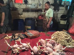 Hari Ini Harga Daging Ayam Rp 45.000/Ekor, Bagaimana Setelah Lebaran?