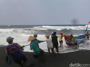 Paceklik Berlalu, Nelayan Pantai Depok Bantul Panen Ikan Paceklik Berlalu, Nelayan Pantai Depok Bantul Panen Ikan