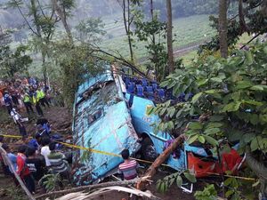 Bus Rosalia Indah Terguling Masuk Parit dan Tertahan Pohon