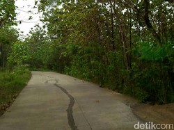 Terlalu Dekat dengan Jakarta, Jonggol Tak Cocok Jadi Ibu Kota Baru