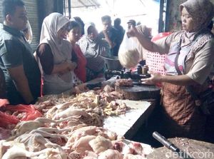 Harga Naik, Permintaan Daging Ayam Tetap Tinggi di Jepara