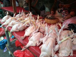 Pedagang Pasar Kebayoran: Harga Ayam Rp 35.000/Ekor