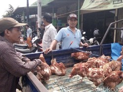 Permintaan Naik, Ayam Afkiran Banyak Dijual di Pasar di Jepara.