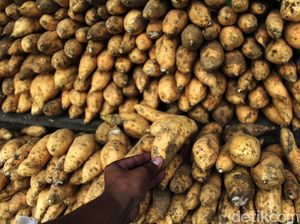 Petani Asal Wonosobo Raih Cuan dari Bertani Ubi Madu