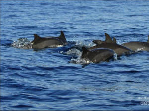 Menpar Ajak Pemudik Lampung Promosikan 10 Destinasi Ini