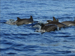 Menpar Ajak Pemudik Lampung Promosikan 10 Destinasi Ini