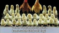 Meme Lucu Curhatan Saat Lebaran