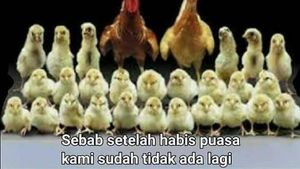 Meme Lucu Curhatan Saat Lebaran