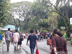 Masuk Ragunan Kini Pakai Jakcard, Masih Ada Pengunjung yang Bingung
