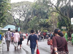 Masuk Ragunan Kini Pakai Jakcard, Masih Ada Pengunjung yang Bingung