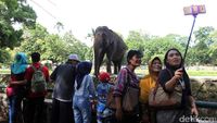 Lebaran, Ragunan Dipadati Pengunjung
