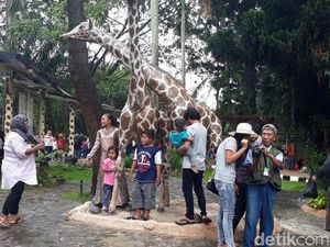 Manfaat Mengunjungi Kebun Binatang buat Anak yang Jarang Orang Tua Sadari
