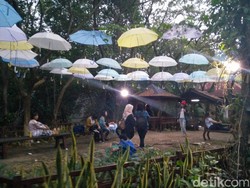 Naik Boat Susuri Hutan Bakau Jadi Pilihan Wisata Lebaran di PIK