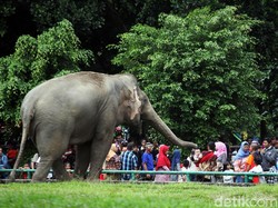 Liburan Sekolah di Jakarta Juga Bisa Asyik, Ini Destinasinya