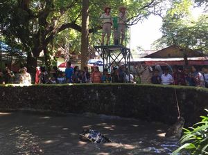 Serunya Menonton Pemberian Makan Buaya di KBS Serunya Menonton Pemberian Makan Buaya di KBS