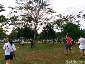 Melihat Serunya Warga Bermain Layang-layang di Taman Waduk Pluit