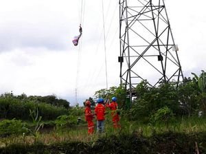Gerak Cepat PLN Pulihkan Gangguan Listrik Akibat Balon Udara