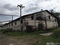 Foto: Mengintip Sisa Rel Lori Tebu Peninggalan Belanda