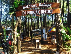 Harapan Pengunjung Puncak Becici untuk Bersalaman dengan Obama