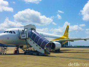 Penumpang Difabel Merangkak ke Pesawat, Maskapai Jepang Minta Maaf