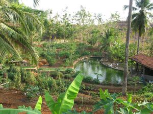 Obama Mampir ke Bumi Langit, Ini Kegiatan Permakultur yang Ada di Sana
