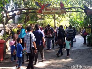Pengunjung Gembira Loka Yogyakarta Turun 20 Persen