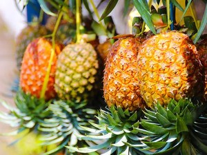 Kocak! Cara Penjual Nanas Ubah Gaya Rambutnya Demi Dapat Banyak Pembeli Kocak! Cara Penjual Nanas Ubah Gaya Rambutnya Demi Dapat Banyak Pembeli
