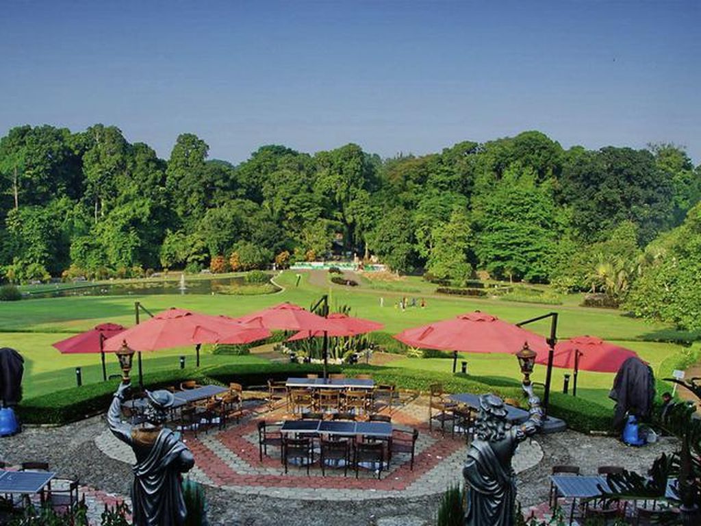 Ini Kafe Berpanorama Kebun Raya Bogor yang Disinggahi Obama Ini Kafe Berpanorama Kebun Raya Bogor yang Disinggahi Obama