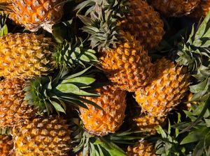 Ratusan Ton Nanas Dibiarkan Membusuk di Queensland