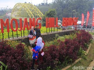 Pesona Kamojang Hill Bridge yang Jadi Tempat Favorit Pemudik Berfoto