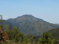 5 Fakta Mahasiswi Undip Tewas saat Mendaki Gunung Lawu