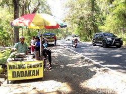 Mudik Lewat Gunungkidul, Ada Belalang Goreng Gurih Enak Buat Oleh-oleh