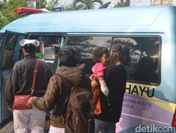 Pengunjung Taman Rakyat di Blitar Diserang Siamang, Jempol Balita Putus
