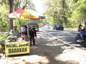 Ke Gunungkidul, Ayo Coba Belalang Goreng