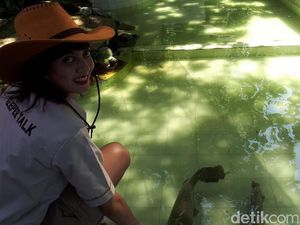 Keeper Cantik di Tengah Hewan Buas Koleksi Kebun Binatang Surabaya
