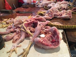 Harga Ayam Potong Merangkak Naik