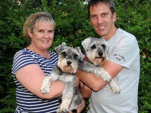 Dua Anjing Hilang Ini Ditemukan Berkat BBQ Sosis Buatan Pemiliknya