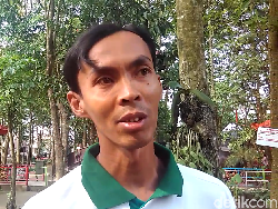 Ini Insiden Penyerangan Siamang pada Balita versi Penjaga Kandang