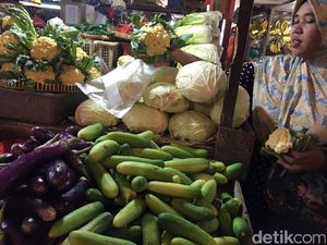 Pasca Lebaran, Harga Mentimun Naik Tajam