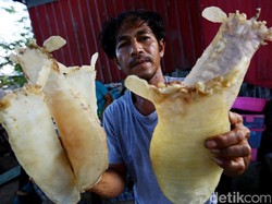 Menjala Ratusan Juta Rupiah dari Gelembung Ikan di Merauke