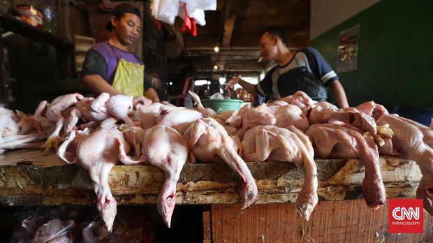 Ekonomi di Kuartal III Diramalkan Tumbuh Hingga 5,1 Persen