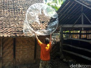 Balon Udara Jatuh Timpa Rumah Warga di Gunungkidul