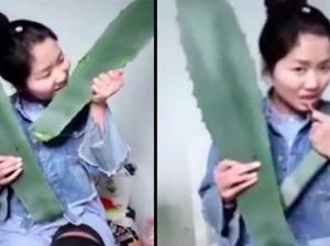 Makan Lidah Buaya Biar Viral, Gadis Ini Hampir Tewas