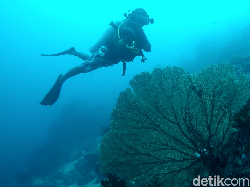 Spot Diving Ekstrem di Sabang: Arus Balee