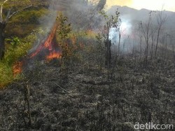 Badan Restorasi Gambut Analisis Area Kebakaran Milik Perusahaan