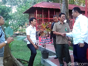 BKSDA: Taman Rakyat Kebon Rojo Blitar Belum Kantongi Izin