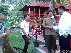 BKSDA: Taman Rakyat Kebon Rojo Blitar Belum Kantongi Izin